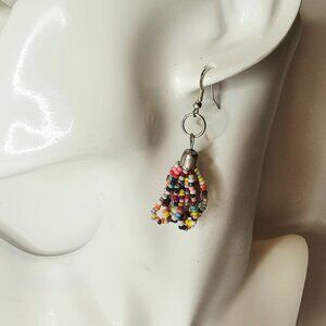 Colorful Seed Earrings